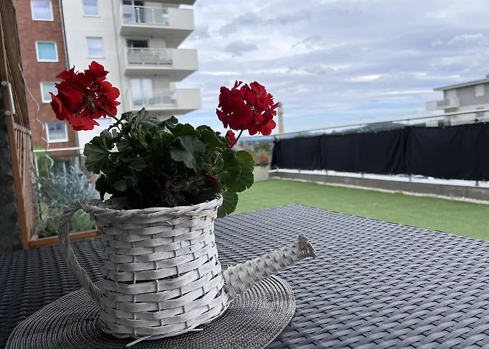 Z Tarasem Na Osiedlu Rakownica * Jelenia Góra